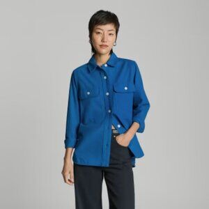 Everlane Classic Cotton Flannel Shirt